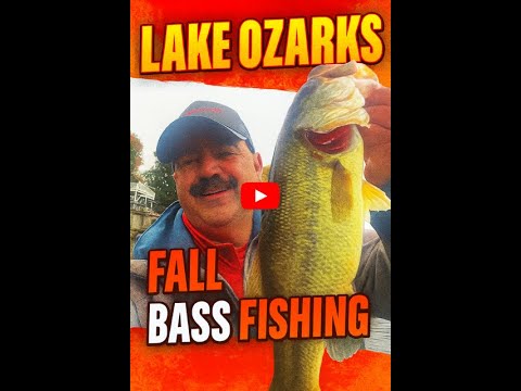Видео: Осенняя рыбалка на озере Озарк