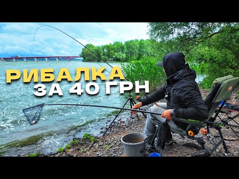 Видео: ⚠️Скільки риби спіймав на 40 гривен‼️ НАРОДНА РИБАЛКА на Мінімалках‼️