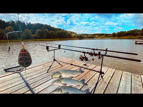 Видео: Поймать карпа на ФЛЭТ Карповая рыбалка на флэт по простому Рыбалка летом