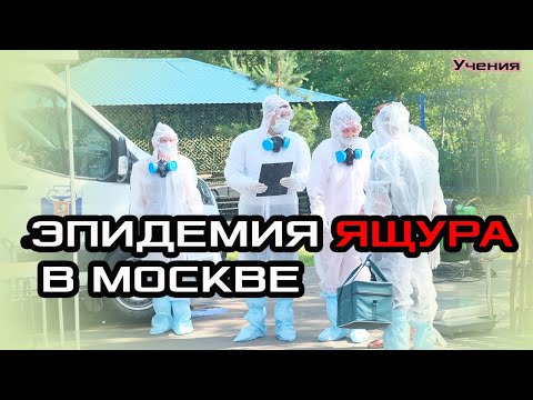 Видео: Ликвидация очага Ящура в Москве!!! Работают профессионалы.