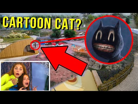 Видео: мой дрон наконец-то поймал CARTOON CAT в РЕАЛЬНОЙ ЖИЗНИ !