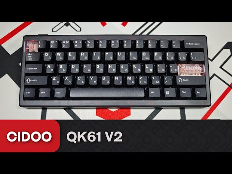 Видео: Обзор Cidoo QK61. Почти идеал за 4к.
