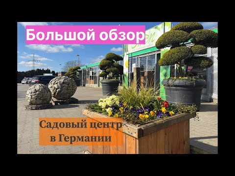 Видео: Весеннее предложение от садового центра OTTEN 🌿 Большой обзор цветущих растений 🌿 Часть 1.