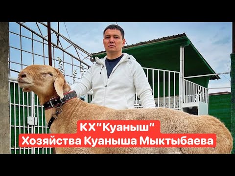 Видео: КХ”Куаныш” Хозяйства Куаныша Мыктыбаева🇰🇿🤝🇺🇿🎥📲🏅