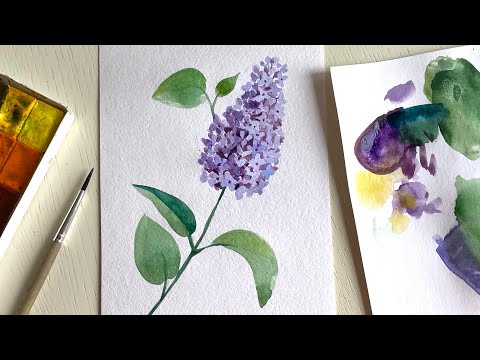 Видео: Рисуем сирень акварелью. Поэтапное рисование для начинающих