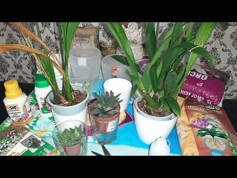 Видео: Новые орхи😁Горшки,субстрат,удобрения.Обзор🤓