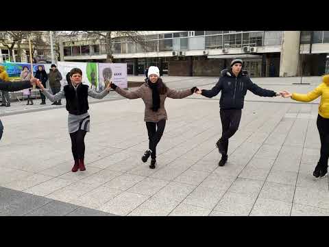 Видео: Хоро Камбер