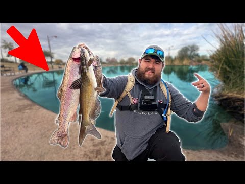 Видео: Поймай и приготовь прудового сома и форель в Аризоне! (Безопасно ли есть?)