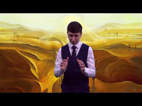 Видео: Конкурс "Живая классика" Михайлов Степан