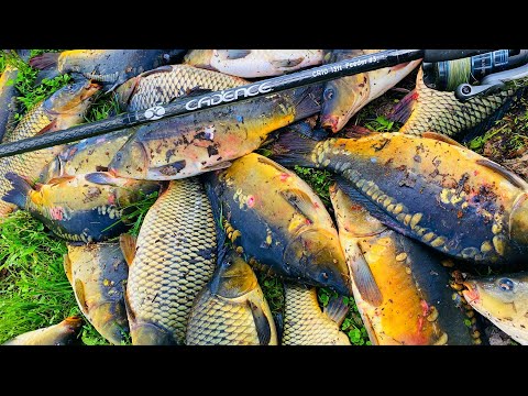 Видео: ТАКУЮ РЫБАЛКУ не ЗАБУДЕШЬ! Рыбалка на фидер Ловля карпа весной