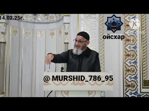 Видео: ИСА ХЬАЖА ОЙСХАР! ЗУЛБИЖАДАЙН АСХЬАБЕХ ЛАЬЦ ХЬЕХАМ! 14.02.2025г.