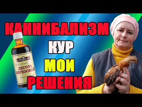 Видео: Каннибализм и расклев  у кур. Причины и решение проблемы.