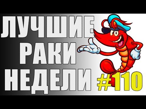 Видео: ЛРН выпуск №110. КАК СДЕЛАТЬ ТАНКИСТУ ПРИЯТНОЕ [Лучшие Раки Недели]