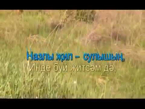 Видео: "Әниемә" Татарча караоке | Татарская песня