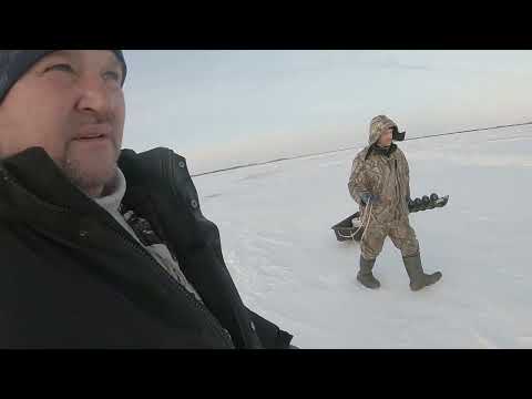 Видео: Бешенный клев , утренний выход судака