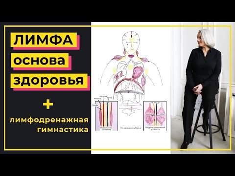 Видео: Лимфа — основа здоровья | Лимфатическая система и иммунитет | Лимфодренажная гимнастика