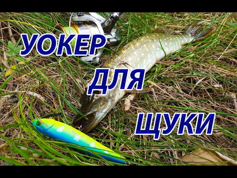 Видео: Приманка для щуки в заросшей воде. Уокер отлично ловил щуку.