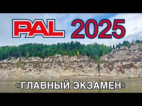 Видео: PAL 2025 – Всё о подготовке к ГЛАВНОМУ ТУРНИРУ СТРАНЫ | BetBoom PAL 2025