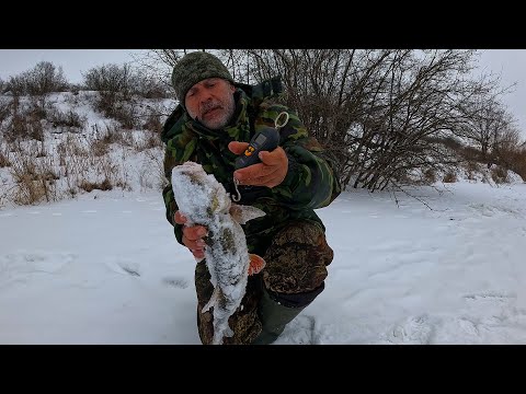 Видео: ЛЕСКА ТРЕЩИТ ОТ ЭТИХ МОНСТРОВ! РЫБАЛКА НА РЕЧКЕ В КОНЦЕ ЯНВАРЯ