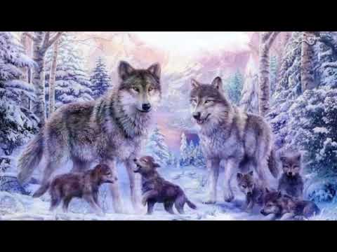 Видео: Віршована казочка "Чарівні перетворення Сніжинки"