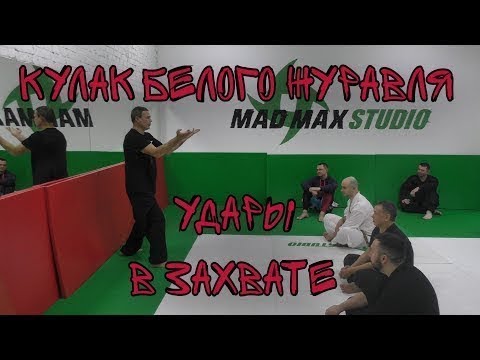 Видео: Кулак белого журавля - удары в захвате (семинар)