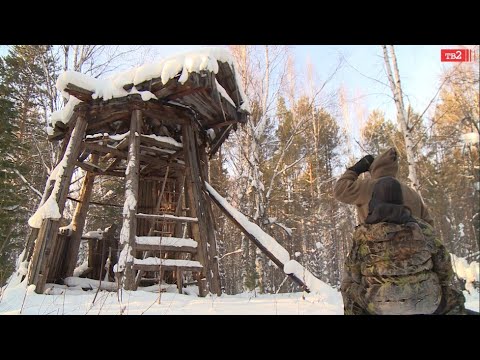 Видео: МЕЛЬНИЦА. Экспедиция ТВ2 в затерянное среди тайги место ссылки, где раньше скрывались старообрядцы