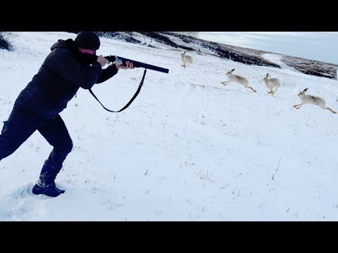 Видео: Настреляли Зайцев на Афганский Казан. Таёжная Избушка приютила!!!