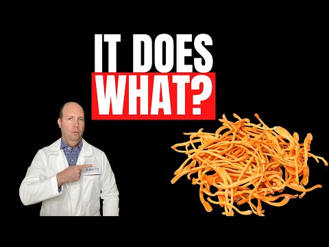 Видео: Этот чудо-гриб исправит ВСЕ!