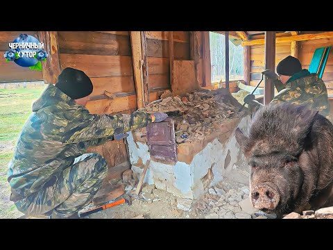 Видео: Свинья пропала. Поиски гнезда по всему лесу.Приготовление баранины по рецепту подписчика.Разбор печи