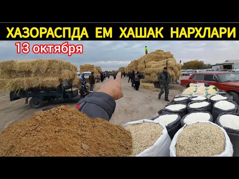 Видео: ХАЗОРАСПДА ЕМ ХАШАК НАРХЛАРИ 13 ОКТЯБРЯ 2024.Г