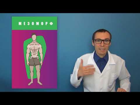 Видео: Питание по типу телосложения: эктоморф, мезоморф и эндоморф