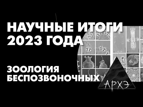 Видео: Вадим Марьинский: "Итоги 2023 года в зоологии беспозвоночных"