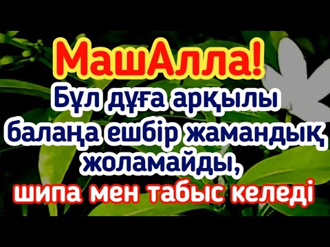 Видео: СубханАлла! Алладан өзіңе, балаңа керегінді сұра — бұл дұға шипа мен қуаныш әкеледі