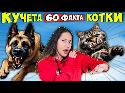 Видео: 60 Факта за КУЧЕТАТА и КОТКИТЕ