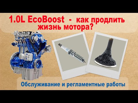 Видео: 1.0L EcoBoost - Как продлить жизнь мотора? Обслуживание, регламентные работы, тонкости