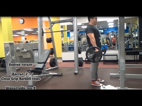 Видео: Нурууний Дасгалийн Хуваарь / Нурууний Талаар Медеелел