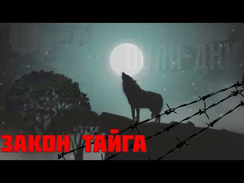 Видео: Группа Пули Дни   Закон тайга