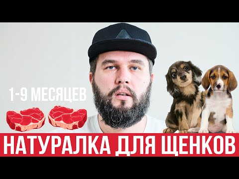 Видео: Большой выпуск: натуральное питание щенков (1-9 месяцев) | Энциклопедия UA DOG