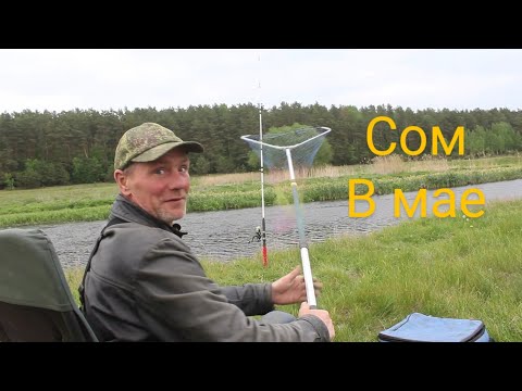 Видео: Первая рыбалка на СОМА в мае по правилам весеннего запрета. Fishing in Belarus.