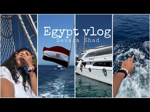 Видео: Egypt 🇪🇬 vlog.2 | дайвинг, экскурсии и т.д