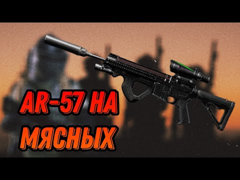 Видео: AR-57 НА МЯСНОМ ПАТРОНЕ ЭТО МЕТА Арена Брейкаут #arenabreakout