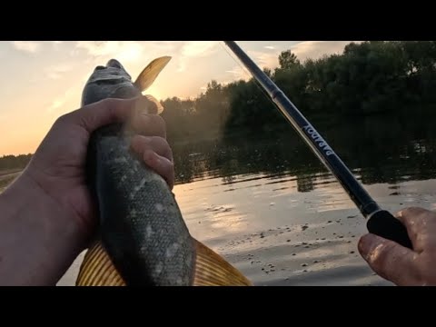 Видео: Спиннинг на малой красивой реке Липецкой области. Олым