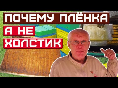 Видео: Почему Плёнка, а не Холстик или Потолочина? Что Лучше?