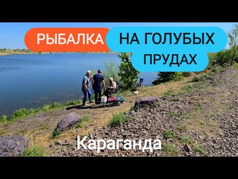 Видео: МАЙ 2025, +33 В КАРАГАНДЕ. РЫБАЛКА НА ГОЛУБЫХ ПРУДАХ #караганда