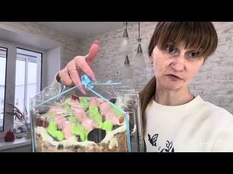 Видео: Выходные / Мармелад из тыквы и клюквы😊