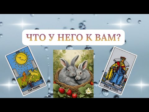 Видео: ЧТО У НЕГО К ВАМ?