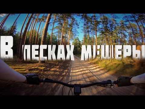 Видео: На пределе возможностей в сложных условиях | Мещера