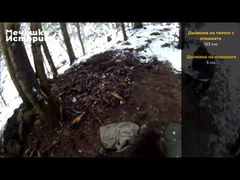 Видео: История за Боряна | Мечешки истории - Епизод 1