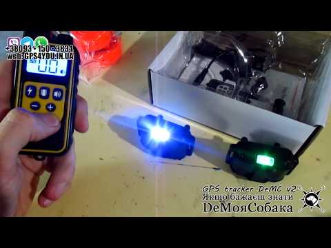 Видео: Обзор самого маленького Эл Ошейника с фонариком для дрессировки