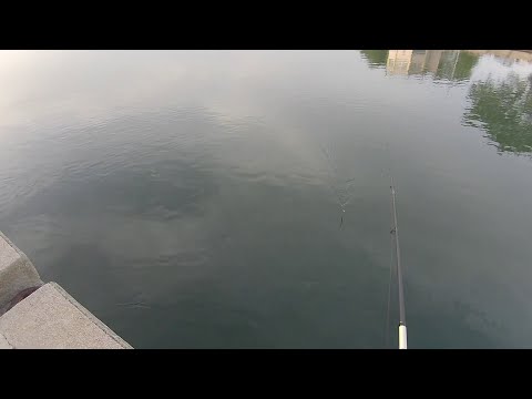 Видео: Фанари!